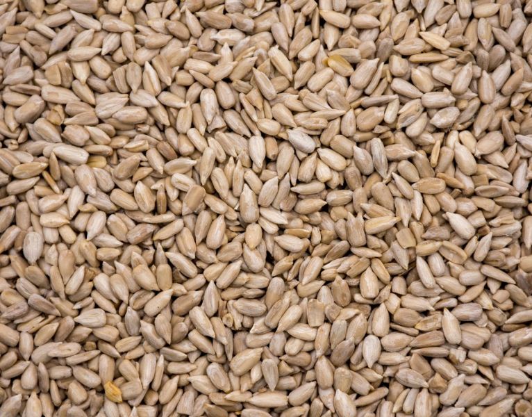 Common Hulled Sunflower Seed Kernels, for Cooking, Food, Human Consumption, Purity : 98%