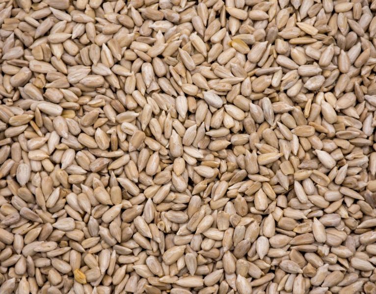 Hulled Sunflower Seed Kernels