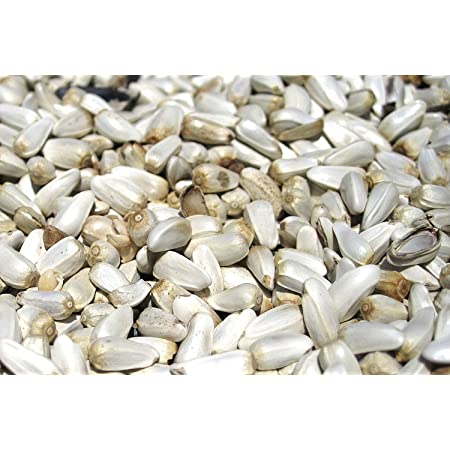 White Safflower Seeds