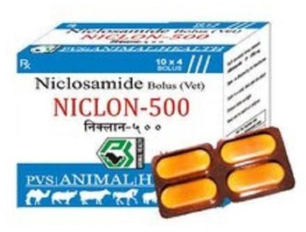 Niclon-500 Niclosamide Drug, Packaging Type : box