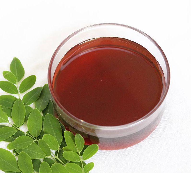 moringa honey