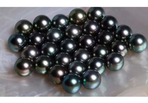 Black Tahitian Pearls, Shape : Round