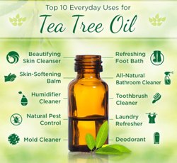 Tea Tree Oil, Purity : 100 % PURE