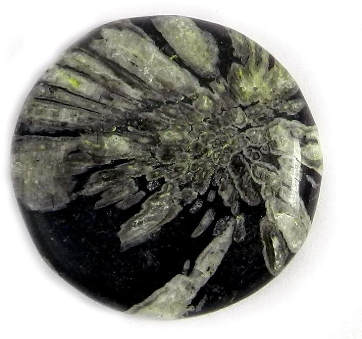 Chrysanthemum Jasper Semi Precious Stone