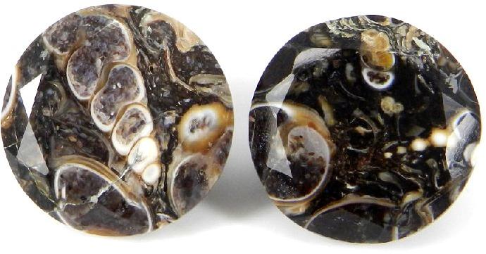 Turtella Jasper Semi Precious Stone