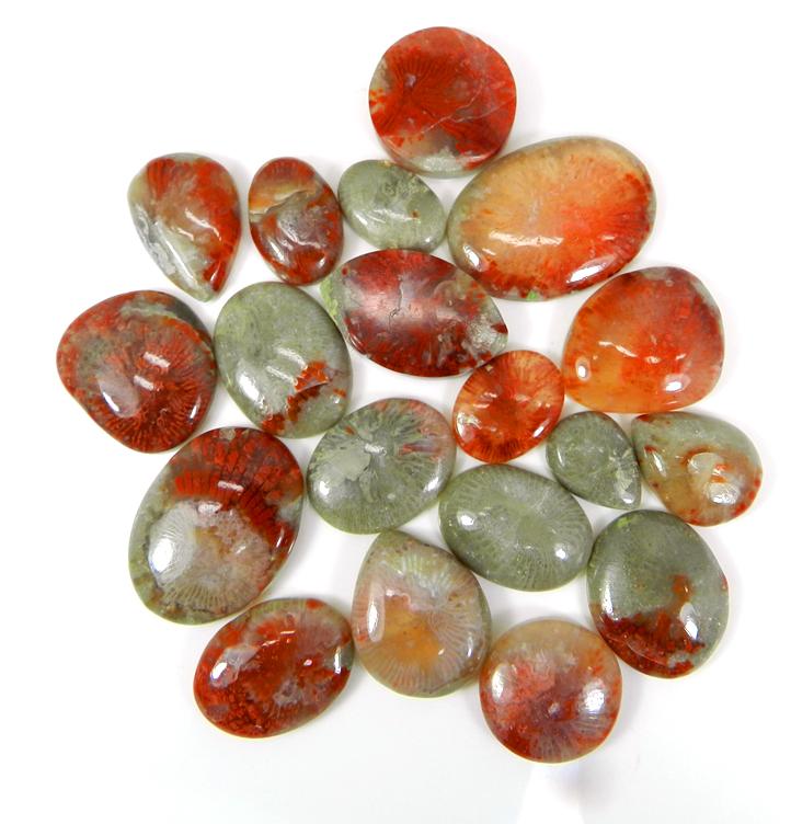 Utah Coral Semi Precious Stone