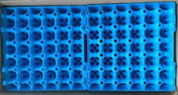 Plastic Egg Trays, Feature : Robust designs, Cutting edge technology