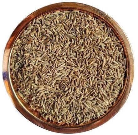 GOGNATH cumin seed, Packaging Size : 25 kgs
