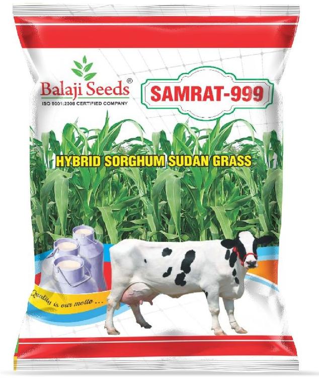 F1 Samrat 999 Sorghum Seeds, Packaging Type : Plastic Packet