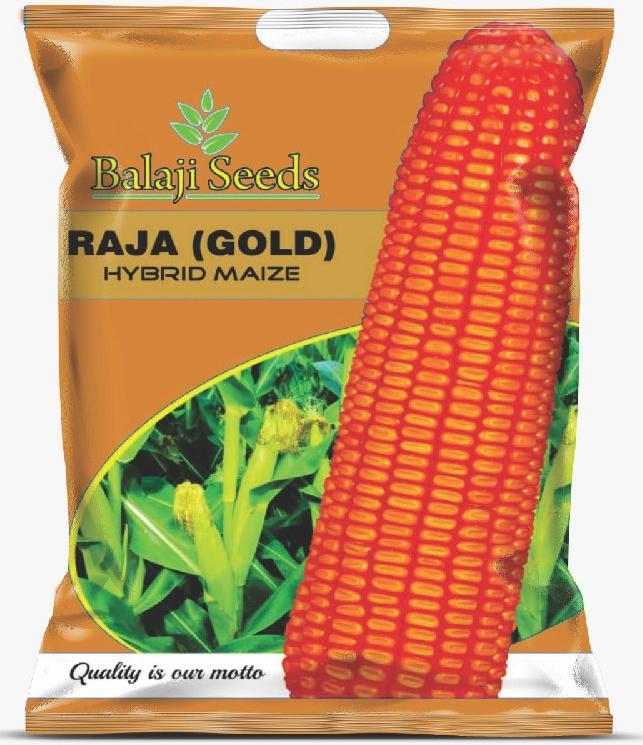 Raja Gold F1 Corn Seeds, Packaging Type : Plastic Pouch, Vaccum Pack