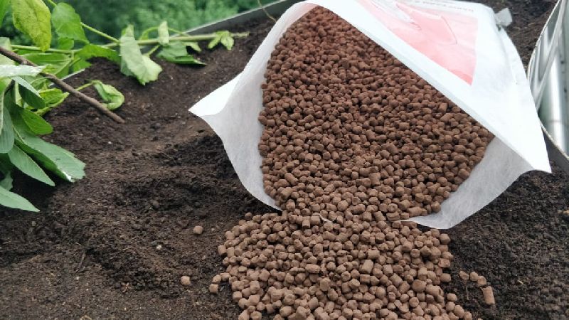 Brown Phosphate Rich Organic Manure, for Soil Application