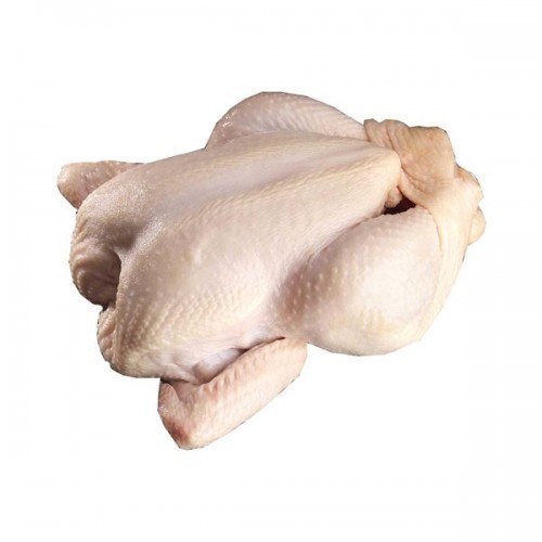 Broiler chicken, Packaging Type : Cartons