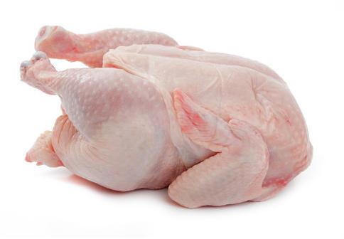 Frozen Chicken, Packaging Type : Carton