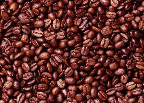 Cocoa Beans, Color : Brown