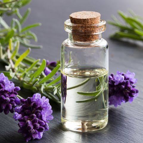 SHANTI lavender oil