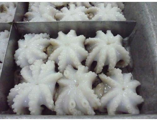 Frozen Octopus