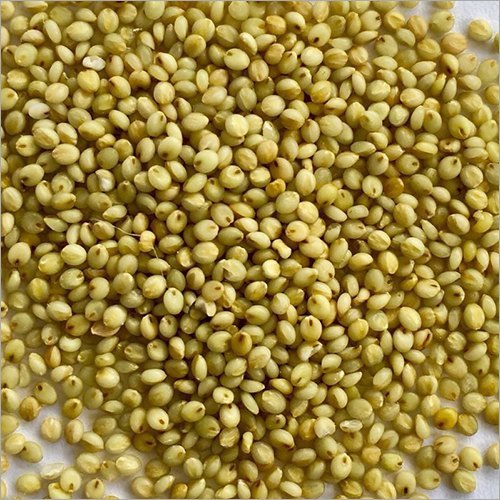 Brown Top Millet Seeds