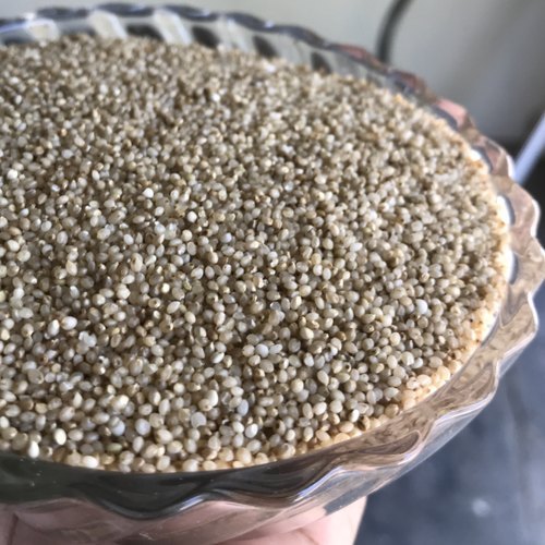 IM Gold Little Millet Seeds, Packaging Size : 25 Kg