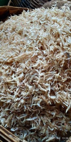 Dry Salted Shrimp, Packaging Type : Loose