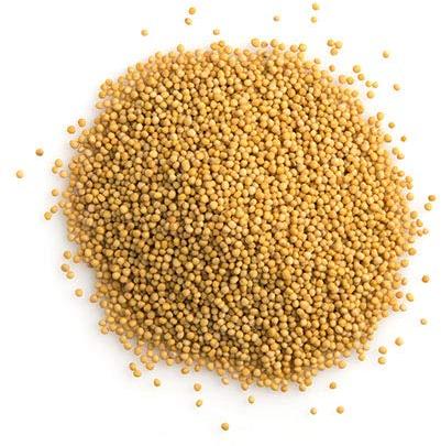 Yellow mustard seeds, Packaging Type : Plastic Packet