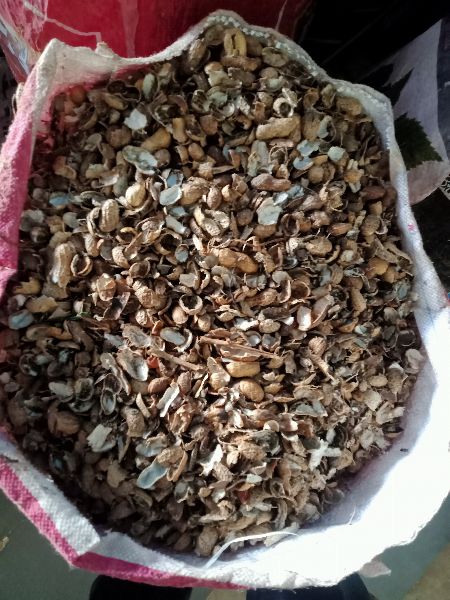 Shell groundnut/ peanut, for Boilers, Feature : Non Harmful, Protein Source