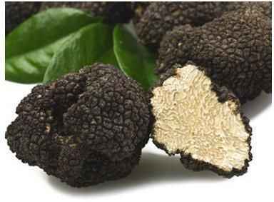 Black Truffle