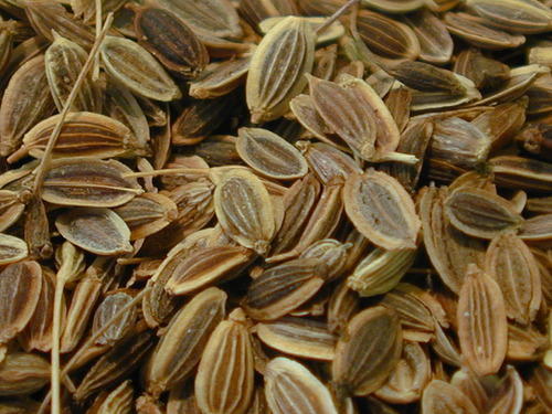 Raw Organic Dill Seeds, for Cooking, Grade Standard : Food Grade