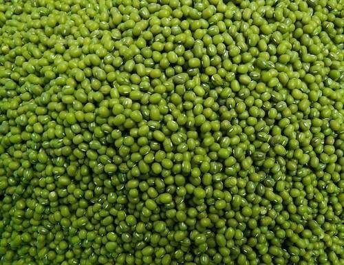 Organic Whole Moong Dal, for Cooking, Grade Standard : Food Grade