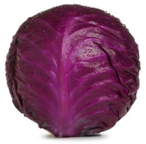 Fresh Red Cabbage, Shelf Life : 5-10days