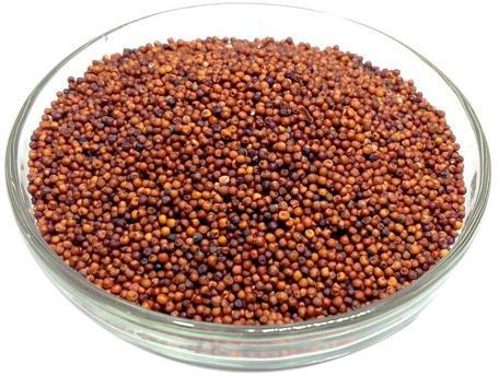 Natural Finger Millet Seeds, for Cattle Feed, Human Consumption, Packaging Type : Gunny Bag