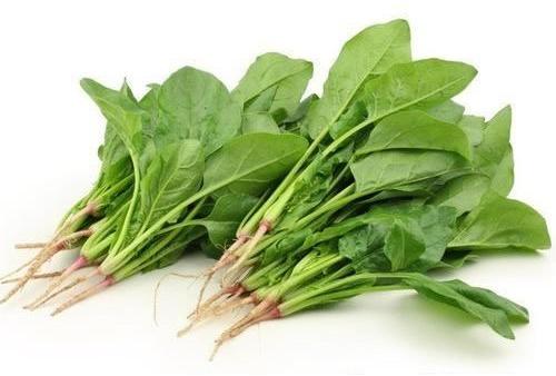 Organic Spinach Leaves, for Good Nutritions, Hygienically Packed, Color : Dark Green