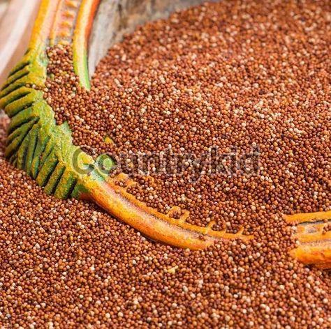 Natural Finger Millet Seeds, for Cattle Feed, Cooking, Packaging Type : Gunny Bag