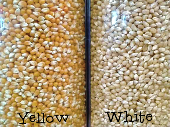 Common maize seeds, Color : White