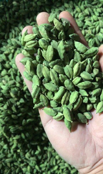 Green Cardamom, for Cooking, Medicnes, Certification : Best quality