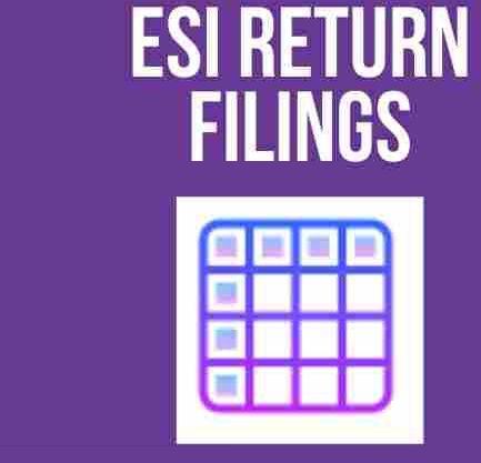 ESI Return Filing Services