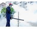 Mosquito control services