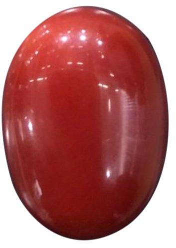 Oval Red Coral Gemstone, Packaging Type : Packet