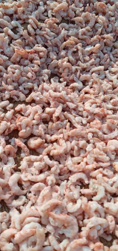 Hodu Fisheries Pvt Ltd In Diu Manufacturer Of Sola Dry Shrimp