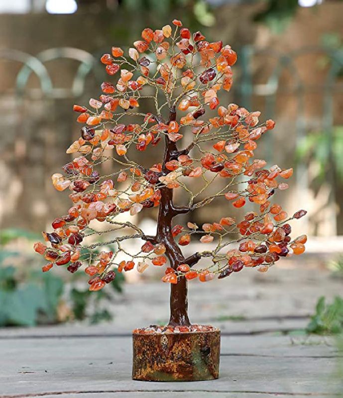 Carnelian Tree, Size : Standard