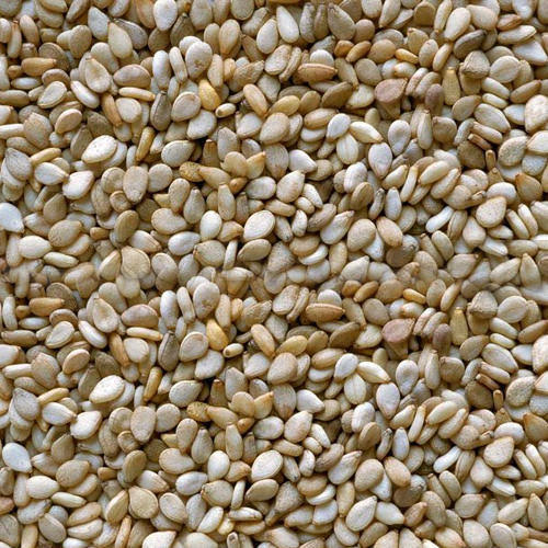 white sesame seed