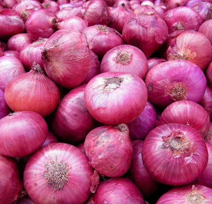 Organic fresh onion, for Good Nutritions, Good Health, Packaging Type : Plastic Packet