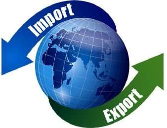 Government Import Policy