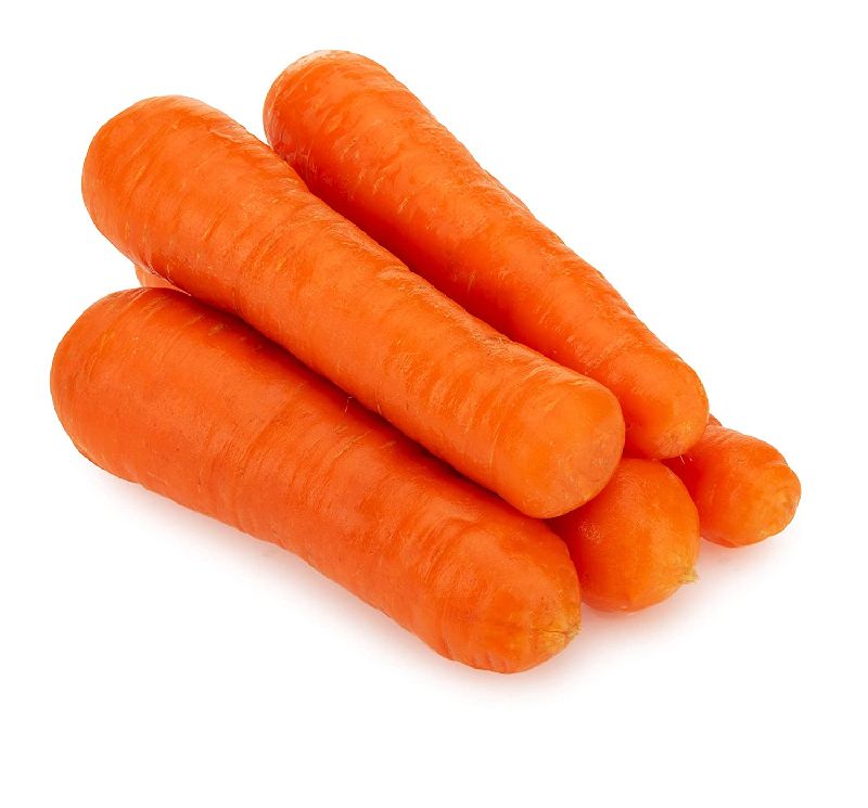 Organic Fresh Carrot, Packaging Type : Jute Sack