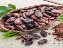 Cocoa Seeds, Form : Beans