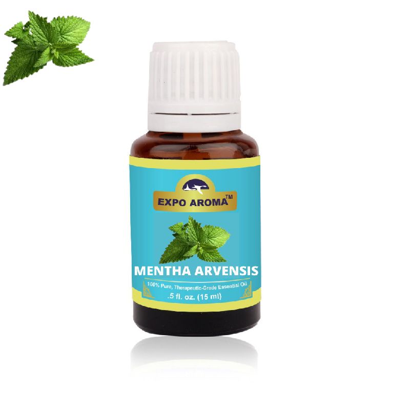 MENTHA ARVENSIS OIL at best price in Ghaziabad from Expo Organics ID6566913