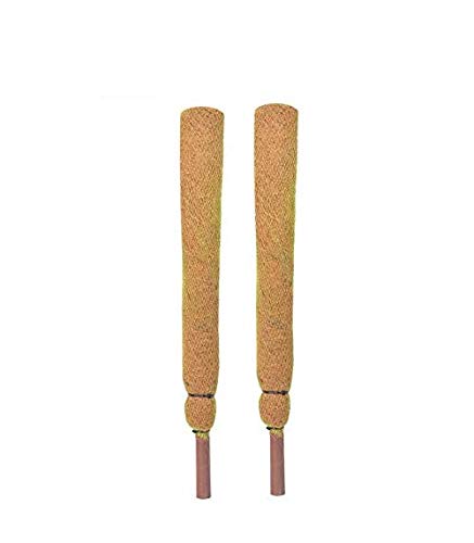 Coir Sticks