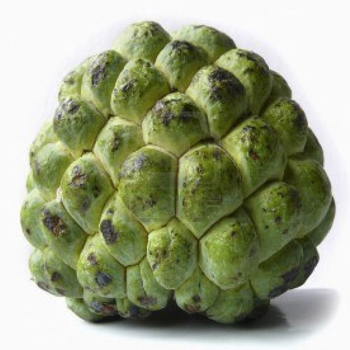 fresh custard apple