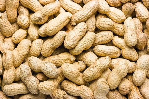 Groundnut