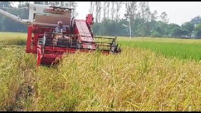 Fuel satnam650 mini combine harvester, for Agriculture Use, Color : Red, White