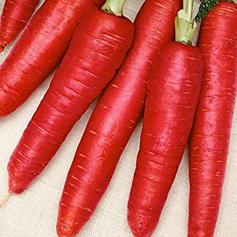 Organic Red Carrot Seeds, for Agriculture, Certification : FSSAI
